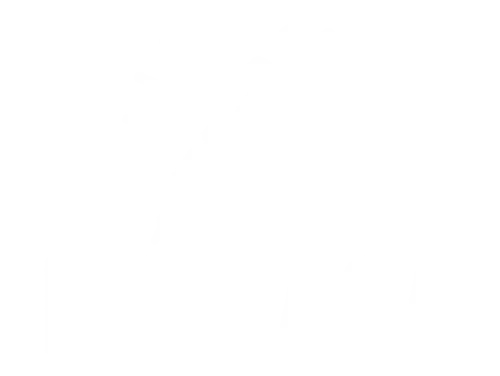 Horiasa