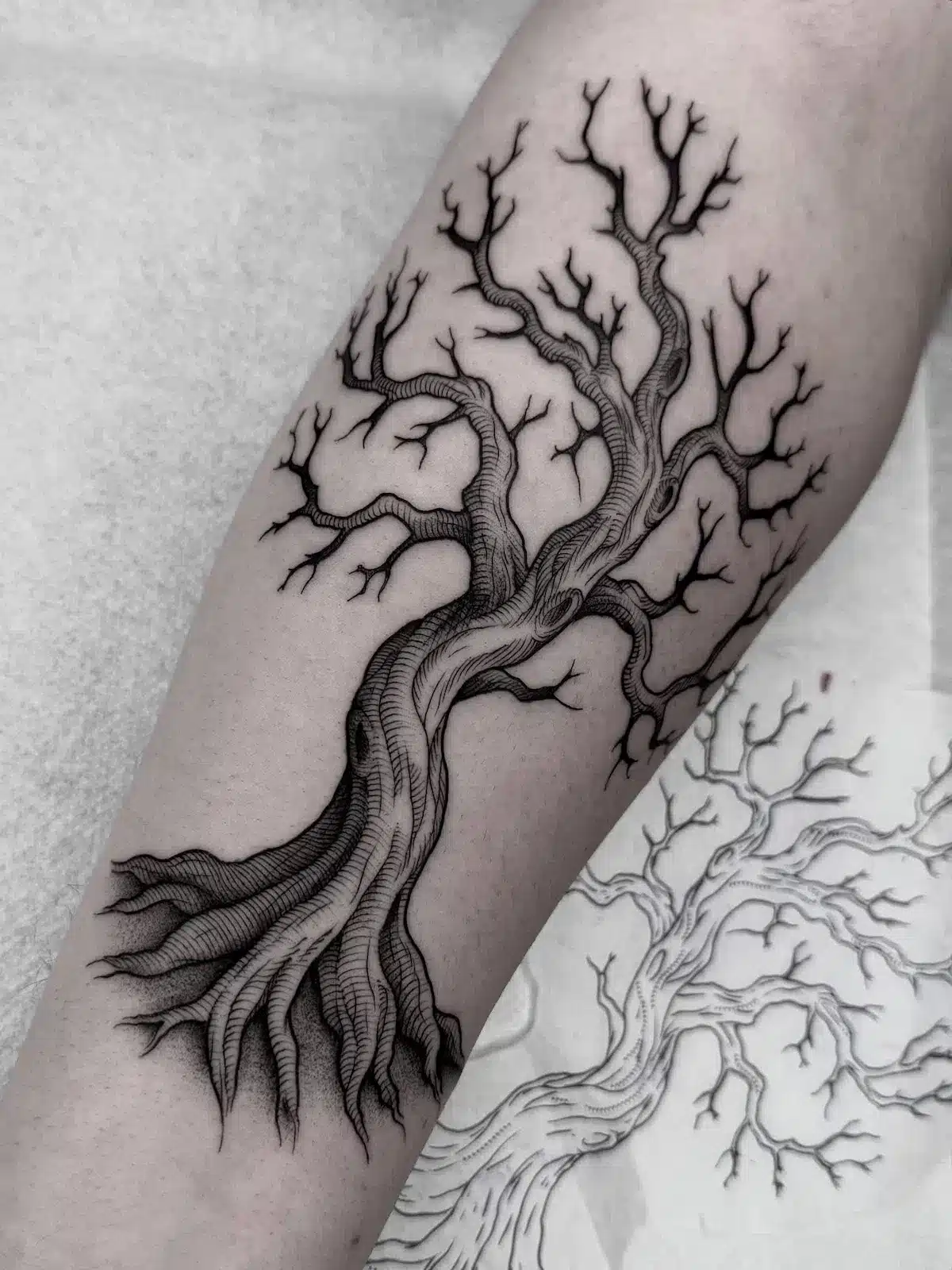 Family Tree Tattoos