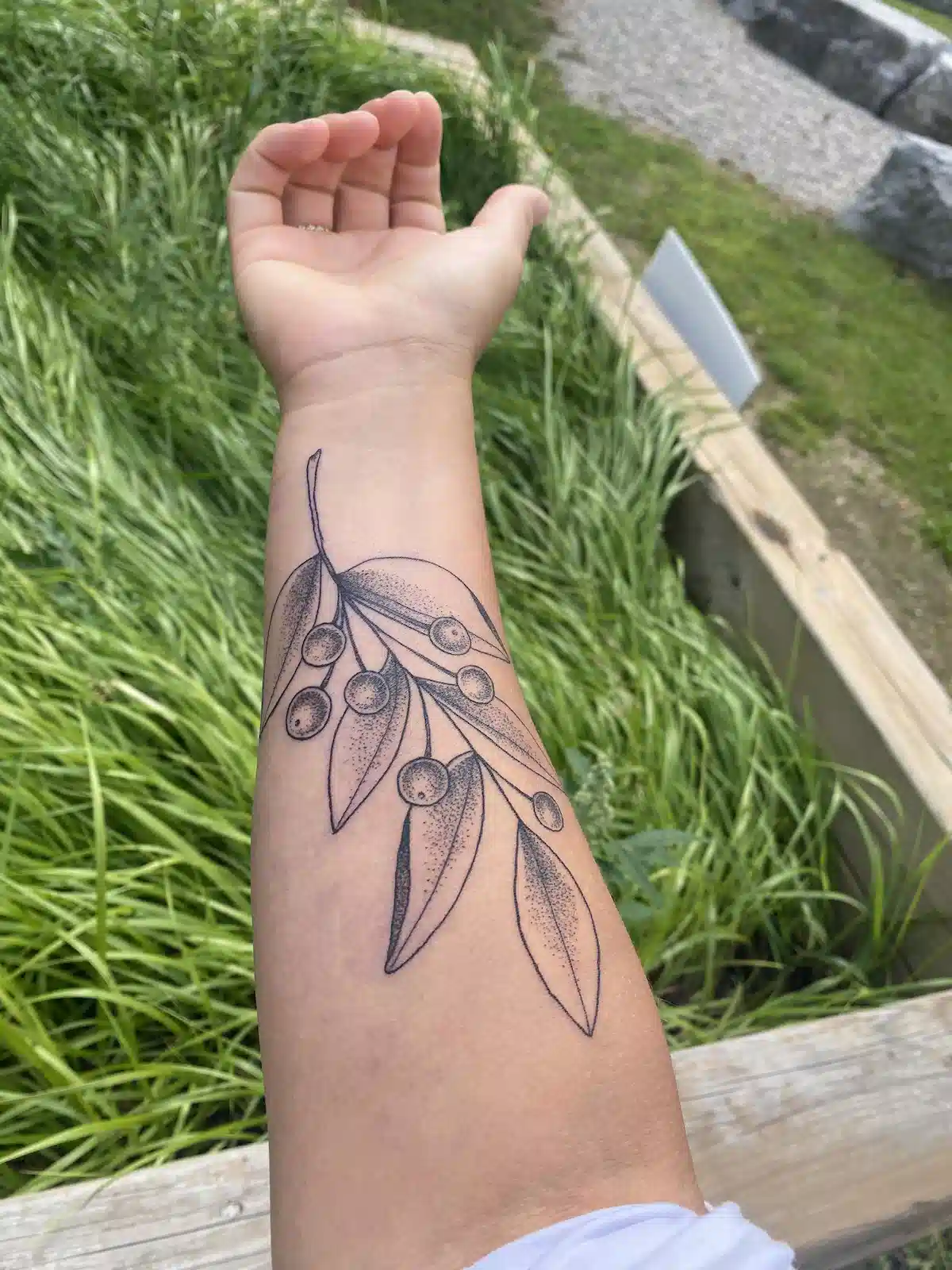 A large black ink olive branch tattoo