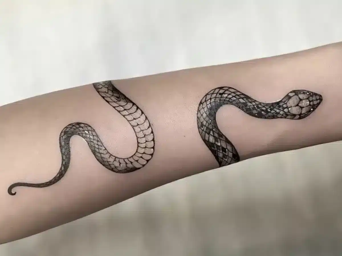 snake tattoo