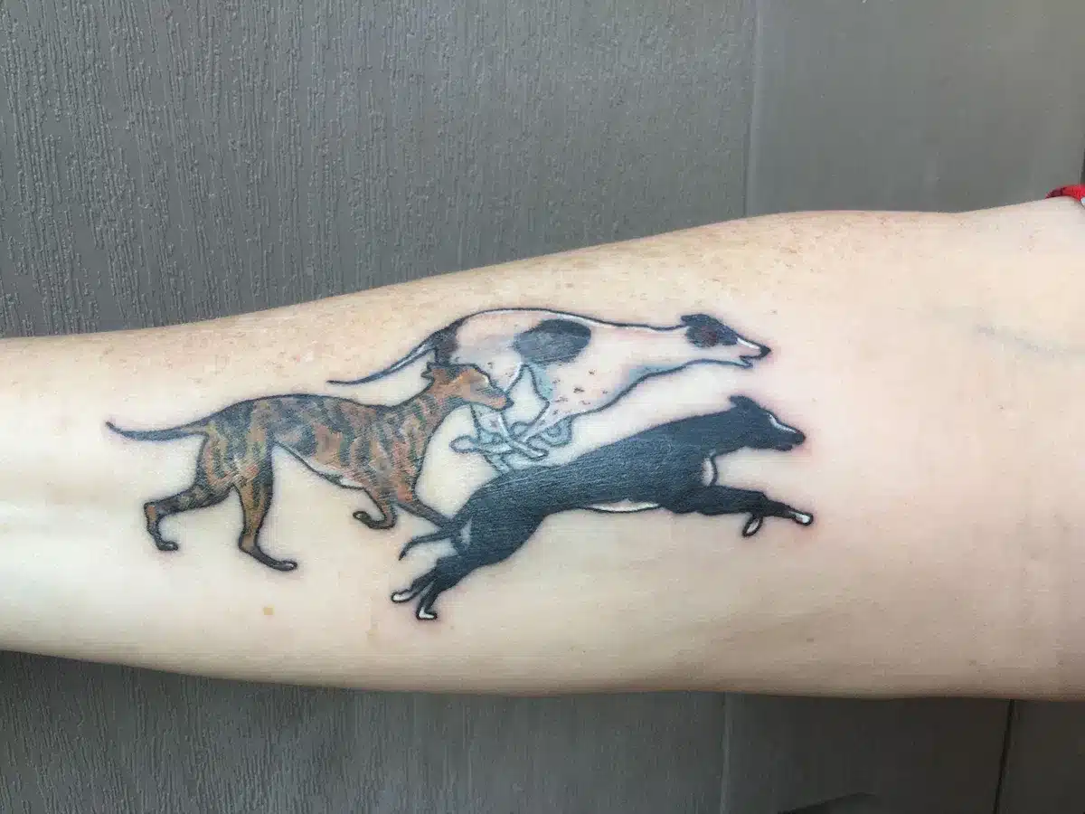 Silhouettes in Motion