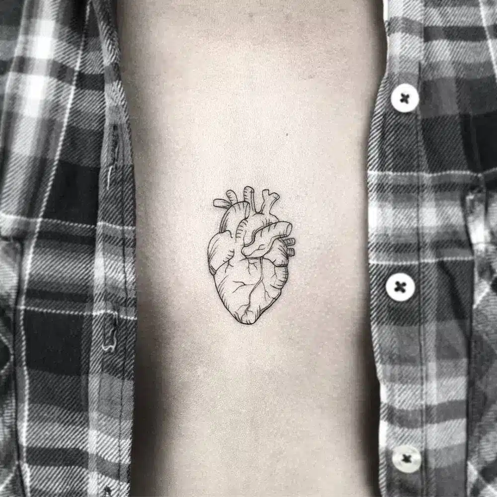 Anatomical Heart